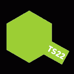 TS-22 Light Green 라이트 그린 (유광)